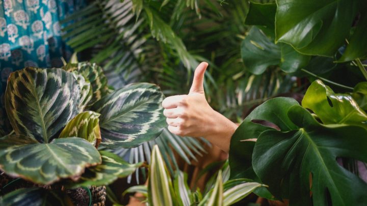 Image for Copy and Paste these Customer Satisfaction Survey Examples