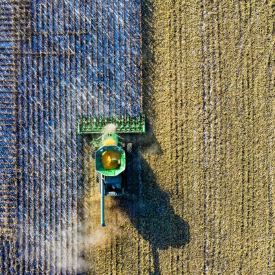 Image for How Pallas Seeds nurtures and connects its customer community with SMS