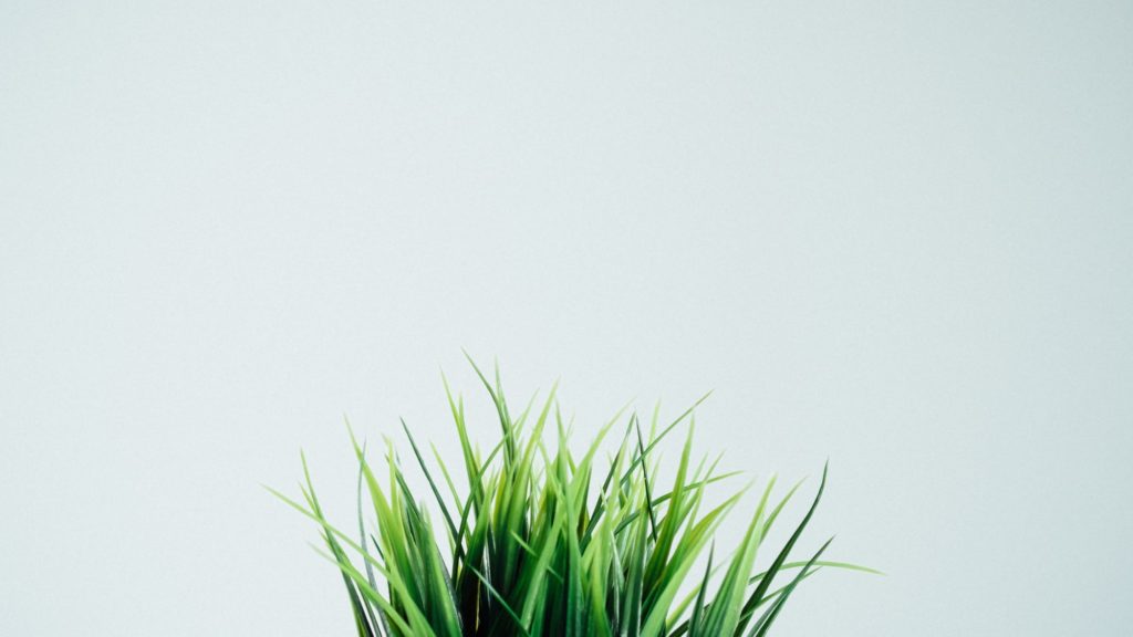 Image for How Text Messaging Helped a Home Health Agency Grow 200%