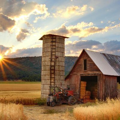 Image for How a Missouri real estate agent sidesteps email spam filters with SMS
