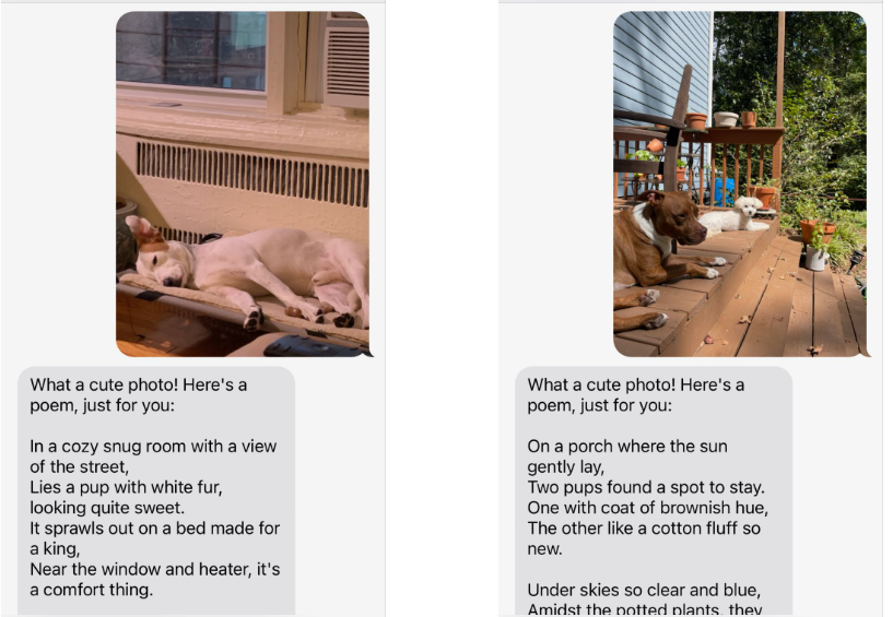 Pictures of dogs along with ChatGPT generated poems based on the picture and delivered via SMS.