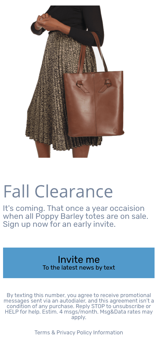 Example of Graphic Created for E-Commerce Store