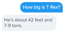 text message conversation between customer and business owner, where customer asks how big a T Rex was